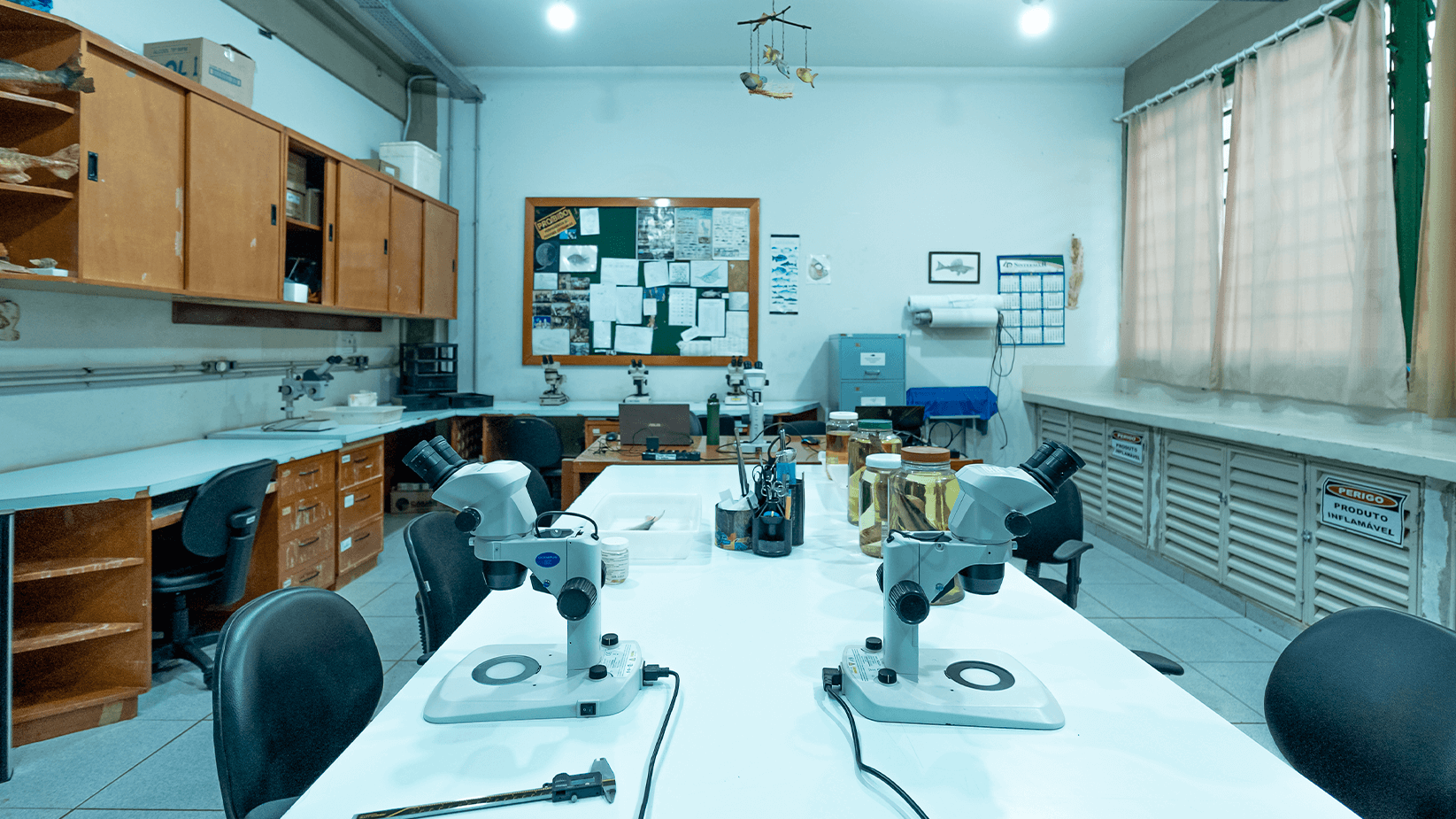 Coleção-Ictiológica-pea_0003_Coleção-Ictiológica-LAB