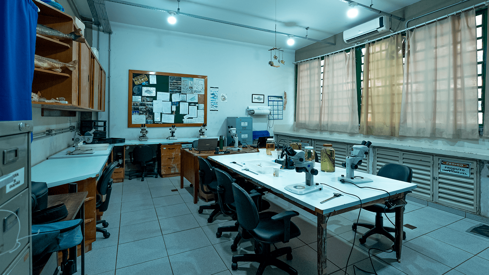 Coleção-Ictiológica-pea_0004_Coleção-Ictiológica-LAB-2